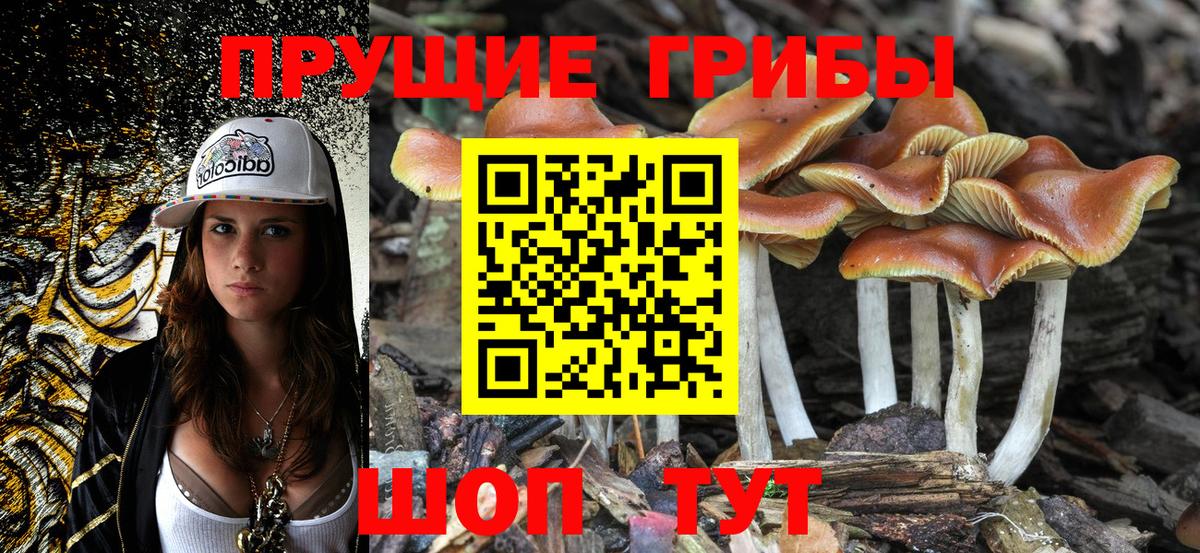 Владимир  Галлюциногенные грибы MAGIC MUSHROOMS  Вход с VPN 